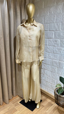 Organza Shirt With Silk Pant Co-ord Set