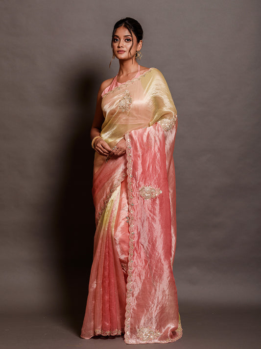 Coral Pink 4D Silver Tissue Saree