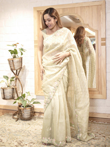 Mint Green Organza Sari