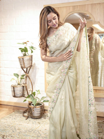 Mint Green Organza Sari